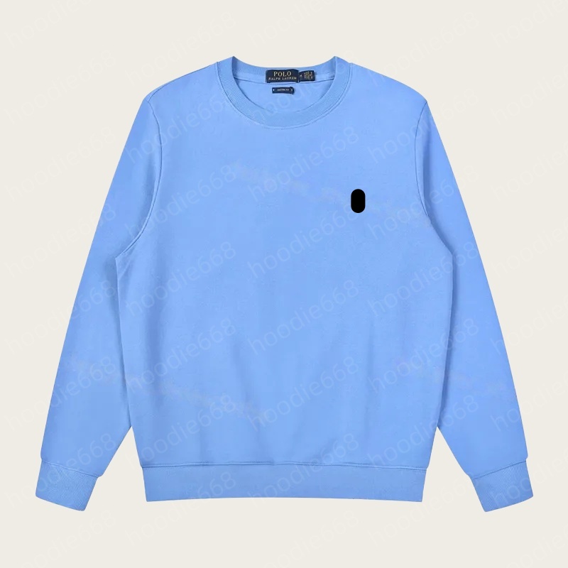 Designer polo hoodie men hoodies pull homme polo sweater men hoody hoodies for men designer clothes pullover cotton regular figure long sleeve mens tracksuit t shirt