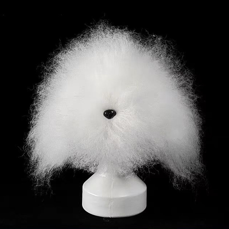 teddy Pet simulated head hair dog head model beautician practice cutting dog hair dog body Wig Pet Grooming Student study 260304