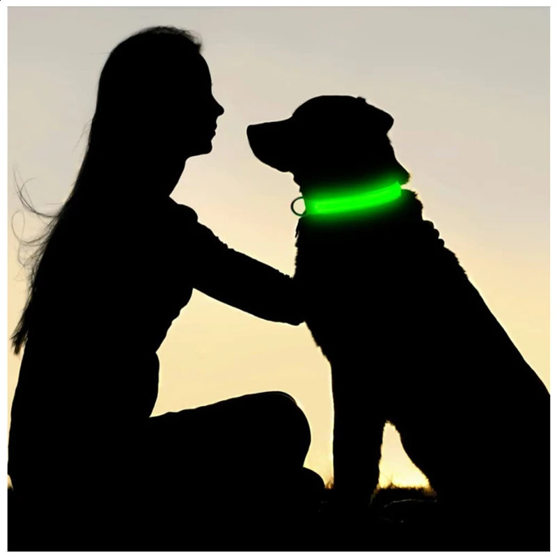 3 Modes Dogs Luminous Charge Collars Led Usb Cat Dog Collar Detachable Night Glow Loss Prevention Pet Accessories 260529
