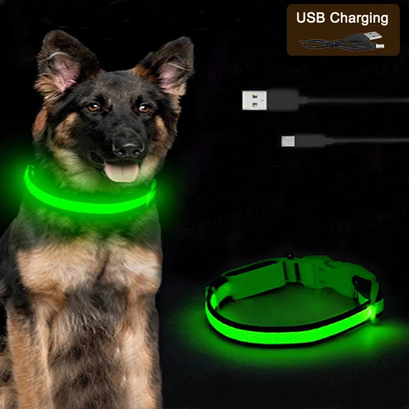 3 Modes Dogs Luminous Charge Collars Led Usb Cat Dog Collar Detachable Night Glow Loss Prevention Pet Accessories 260529