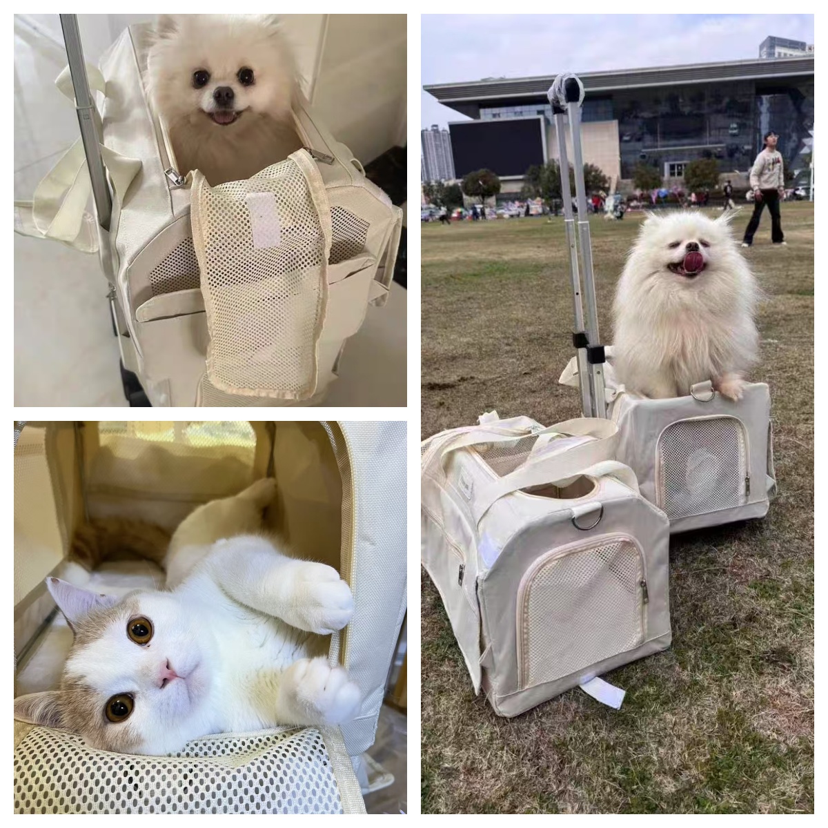 Double Decker Cat Carrier with Wheels LBY, Detachable 2-in-1 Backpack Trolley, Portable Mesh Pet Stroller for Multi-Cat Families