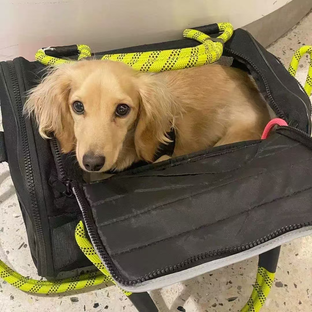 LBY TSA Airline Approved Soft Pet Carrier Tote, Foldable Quilted Dog Cat Travel Bag with Green Rope Handles, Leak-Proof Base Holds Small Pets Up to 20