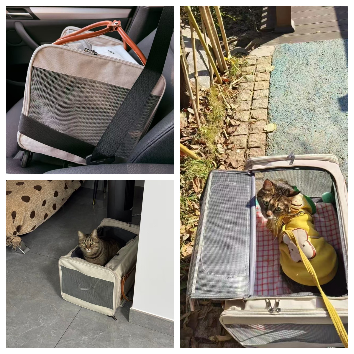 LBY Detachable Wheeled Pet Carrier, 3 Vent Mesh Rolling Cat Dog Travel Tote with Retractable Handle, Holds Pets Up to 22lbs for Outdoor Vet Trips