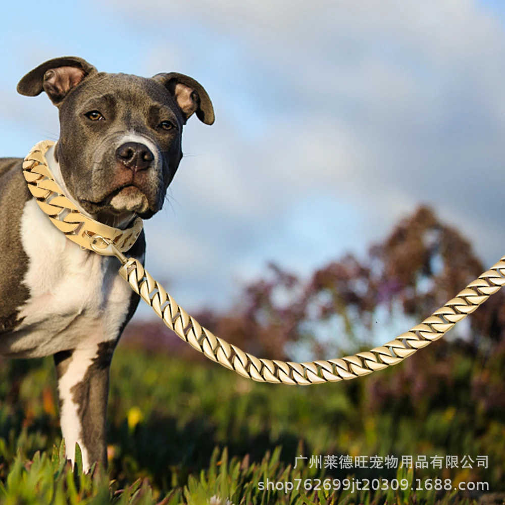 Traction Solid Super Strong Gold Stainles Steel Pet Lead Chain 32mm 19mm Bulldog Pitbull Large Dog Collar Leash L260511