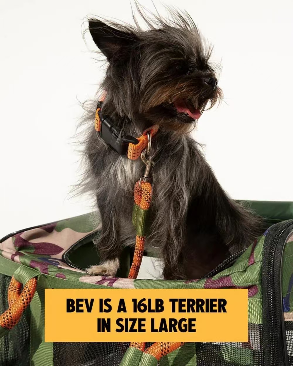 LBY TSA Airline Approved Soft Pet Carrier Tote, Foldable Quilted Dog Cat Travel Bag with Green Rope Handles, Leak-Proof Base Holds Small Pets Up to 20