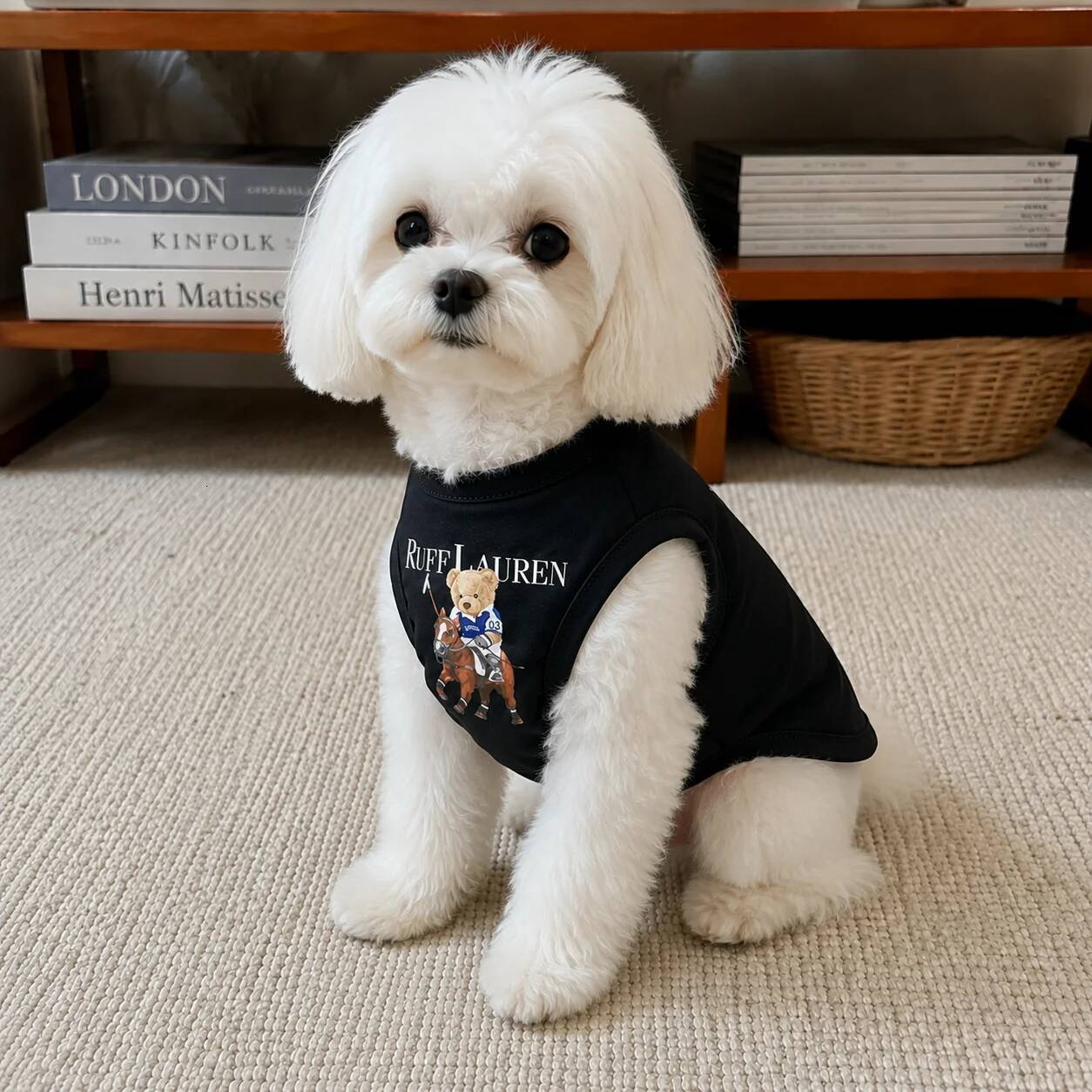 Ruff Dog Clothes Spring Summer Autumn Small Medium Chihuahua Yorkie Frenchie Popular Fashion Funny Puppy Pet Singlet Bamubi - view 6
