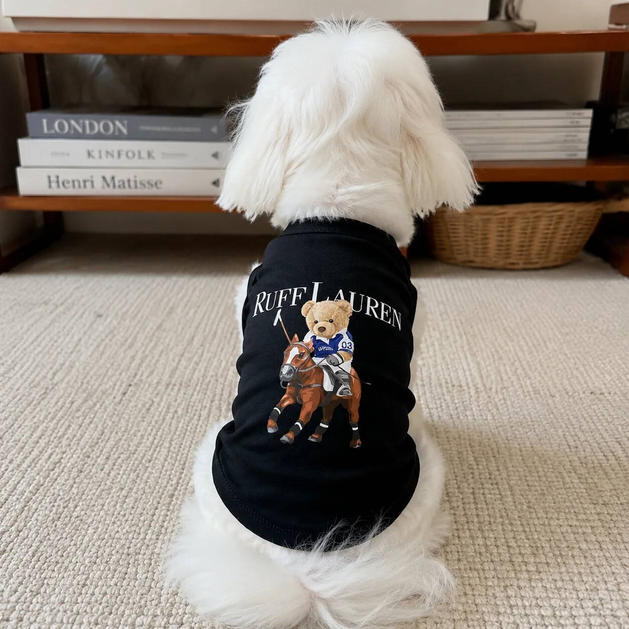 Ruff Dog Clothes Spring Summer Autumn Small Medium Chihuahua Yorkie Frenchie Popular Fashion Funny Puppy Pet Singlet Bamubi - view 4