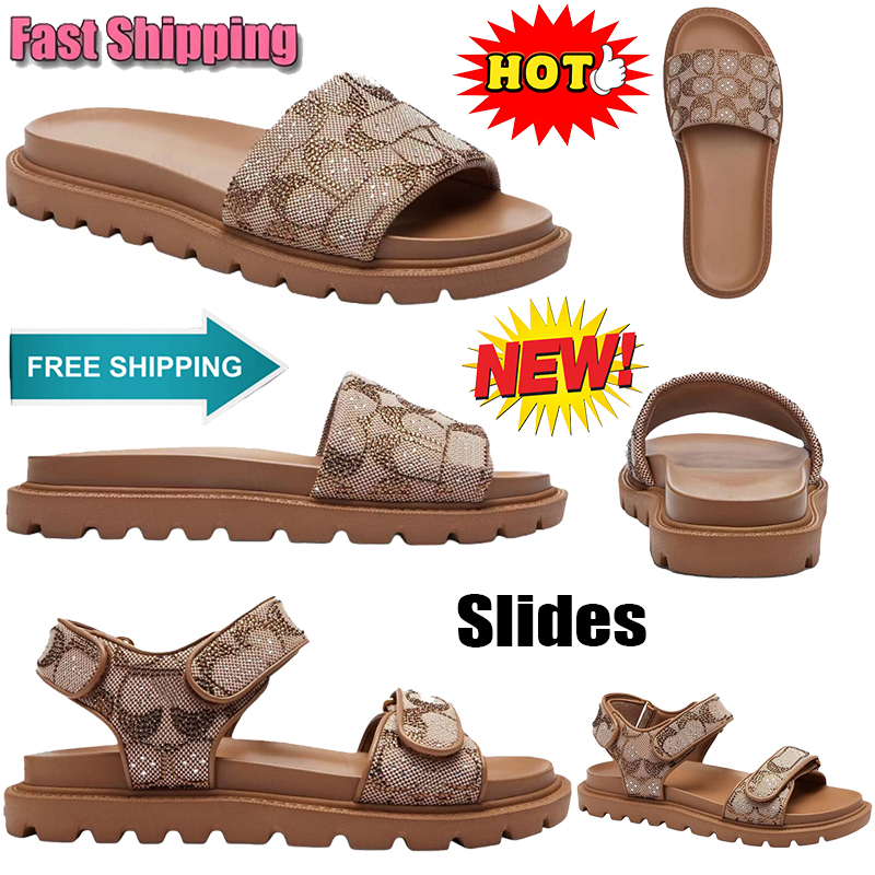 Coacs Slides Designer Sandals BRYNN SLIDE SANDAL Summer Platform Sandals Fashion Outdoor Slide Ladies Brown Luxury Womens Slides Beach Flat Casual Slippers