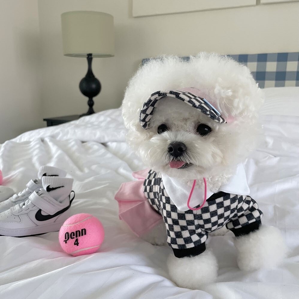 Pet Clothing Ins Style Autumn Winter Korean Tennis Prince Series Hat Color Blocked Checkered Skirt T Shirt Warm Apparel For Dogs