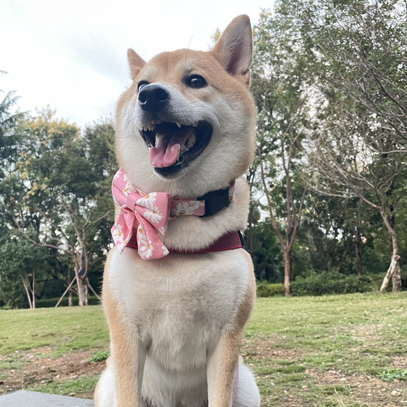 Pet Collar New Skirt Hem Bowknot Small Daisy Pattern Plastic Buckle Adjustable Collar For Dogs