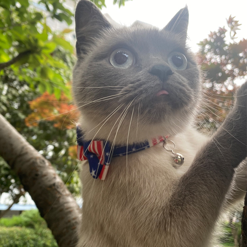 Pet Collar New Classic Stripe Bow Design For Cat Adjustable Comfortable Pet Collar