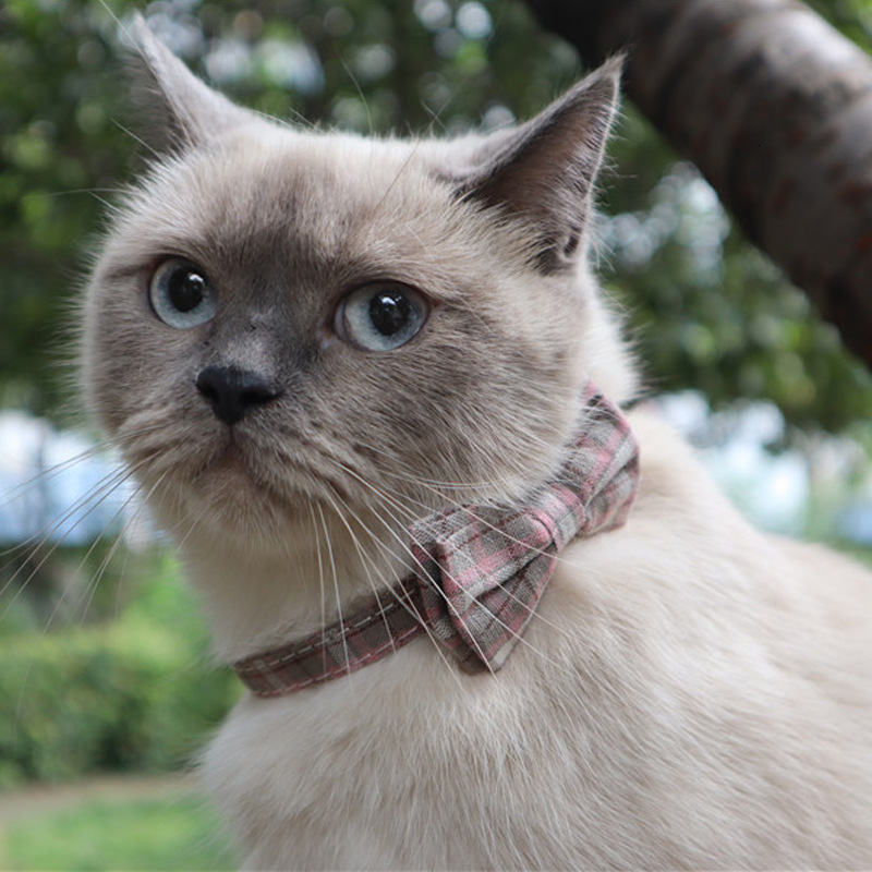 Pet Collar New British Plaid Pattern Detachable Bowknot With Bell Comfortable Collar For Cats Kittens