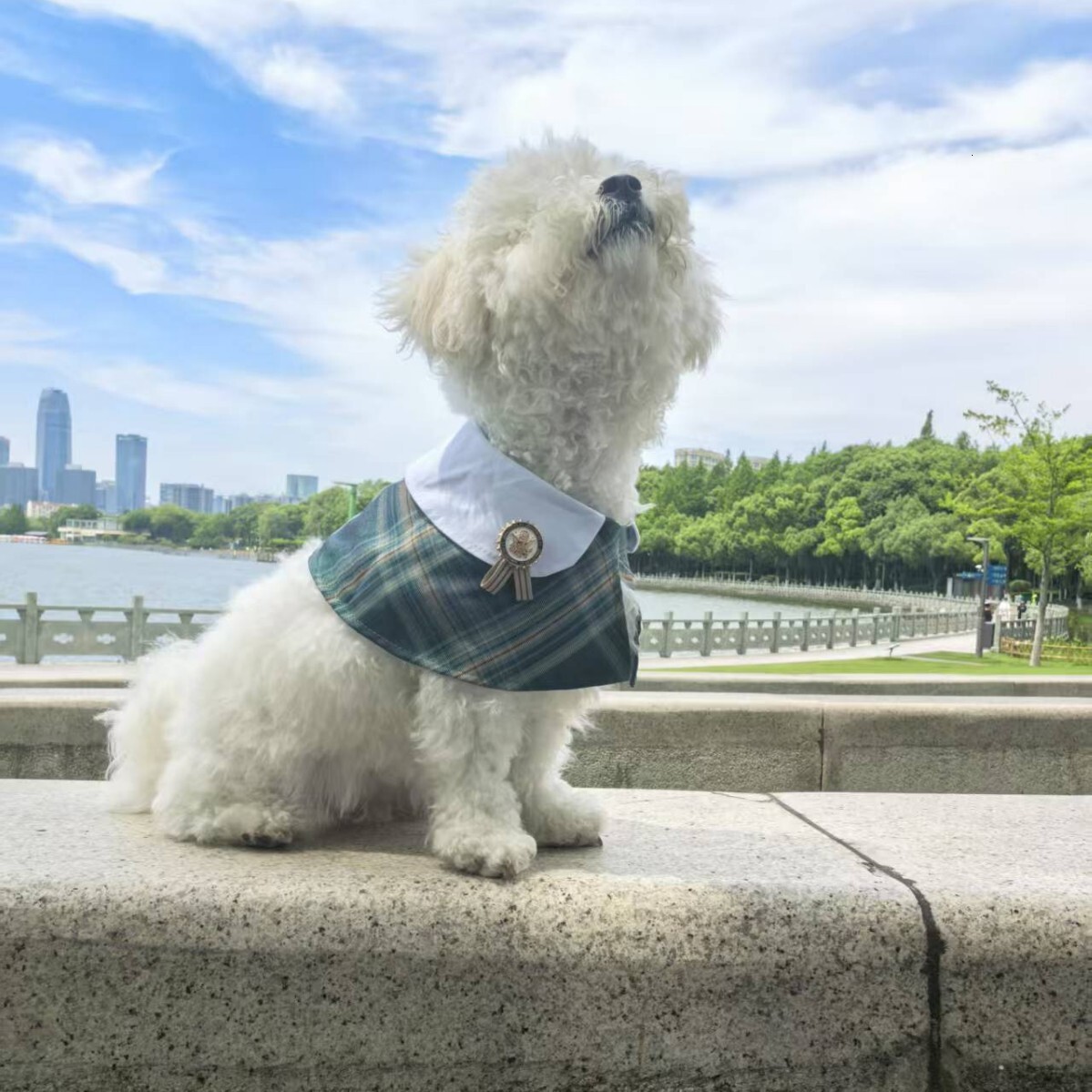 Pet Cape Jk Style Magic Tape British Plaid Elegant Medal Decor Neck Warmer Scarf For Dogs And Kittens