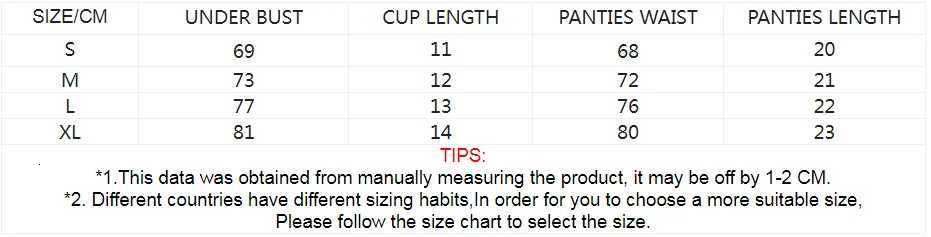 Exotic Fantasy Lingerie Underwire Bra Strap Panties 2Piece Sheer Mesh Embroidery Underwear for Women Z260402