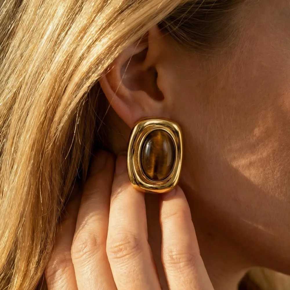 Chunky Vintage Tiger Eye Black Stone Stainless Steel Stud Earrings For Women Statement 18K Gold Plated French Autumn Jewelry H260403