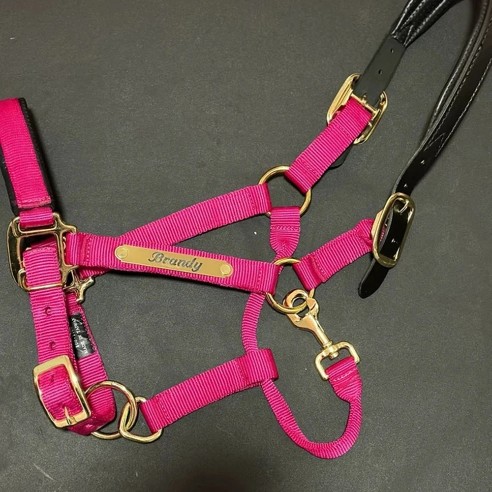2pcs Personalized Engraved Nameplates for Bridles Custom Jewelry Martingale Plate Stainless Steel Halters and Saddles 260403BJ - view 6