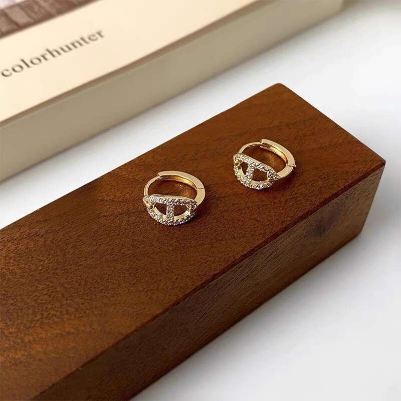 Ear Studs Silver Needles Classic Pig Nose Design Female New Popular Buckle Niche Design High End Ear Care Fashionable Ear Rings Jewelry Designer Luxur - view 4