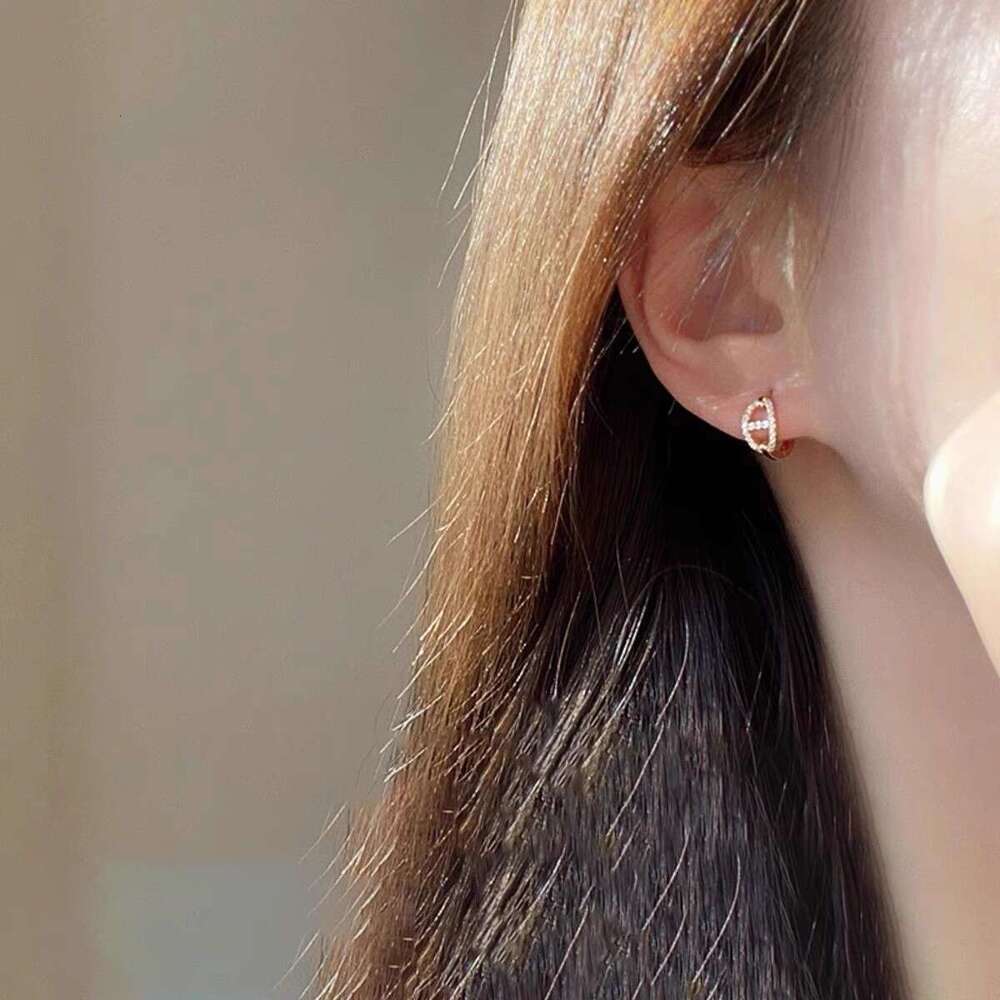 Ear Studs Silver Needles Classic Pig Nose Design Female New Popular Buckle Niche Design High End Ear Care Fashionable Ear Rings Jewelry Designer Luxur - view 5