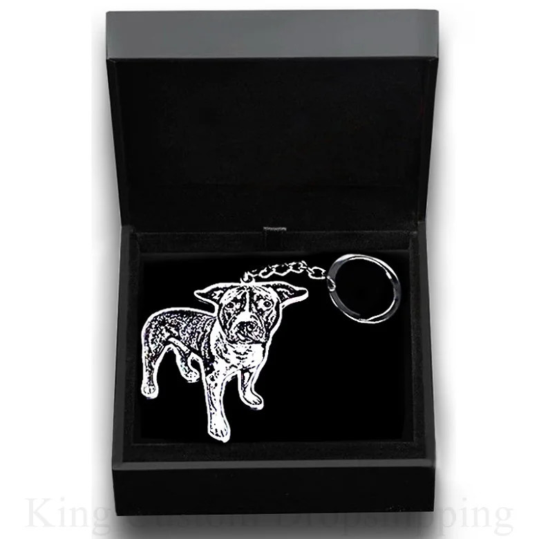 Personalized Pet Keychain Custom Po Custom Dog and Cat Pendant Cute Necklace Memory Jewelry Lettering Gift 260403BJ - view 4
