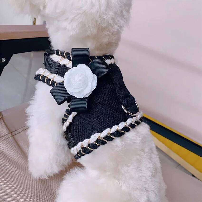 Luxury Designer Dog And Leash Set Small Dogs, Padded Puppy Walking Vest Harness For Chihuahua Yorkie Pet Supplies Bamubi