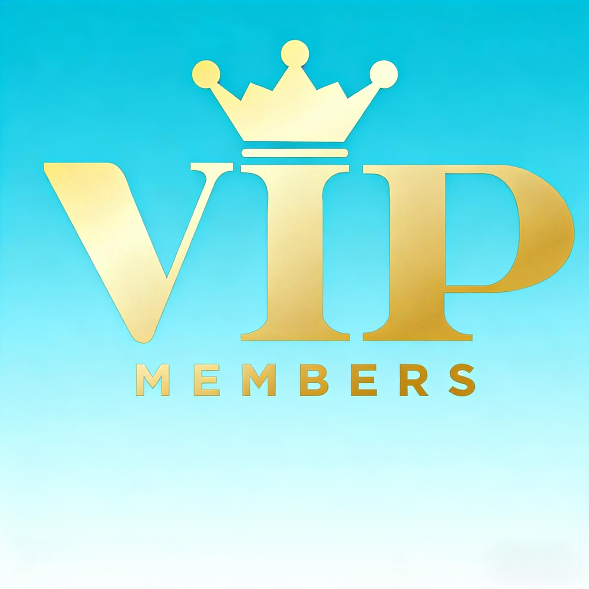 MaJY XX-01 VIP link VIP Payment Gateway Complet Purch, Pay Differences and Priority Logistics