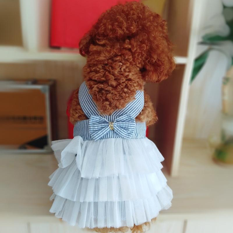 Summer Dress Lace Pet Clothing Chihuahua Stripe Skirt Cat Princess Apparel Cute Puppy Clothe Dog Accessories