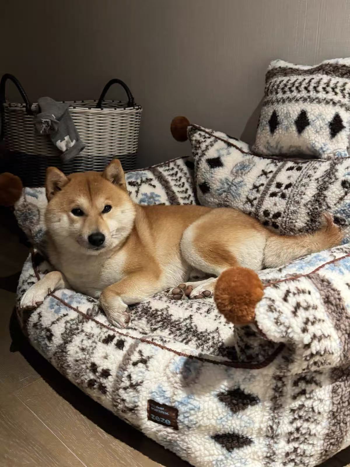 Pet dog kennel Genki Cat kennel winter warm four seasons universal cold cat house winter closed cat kennel pet cage new dog