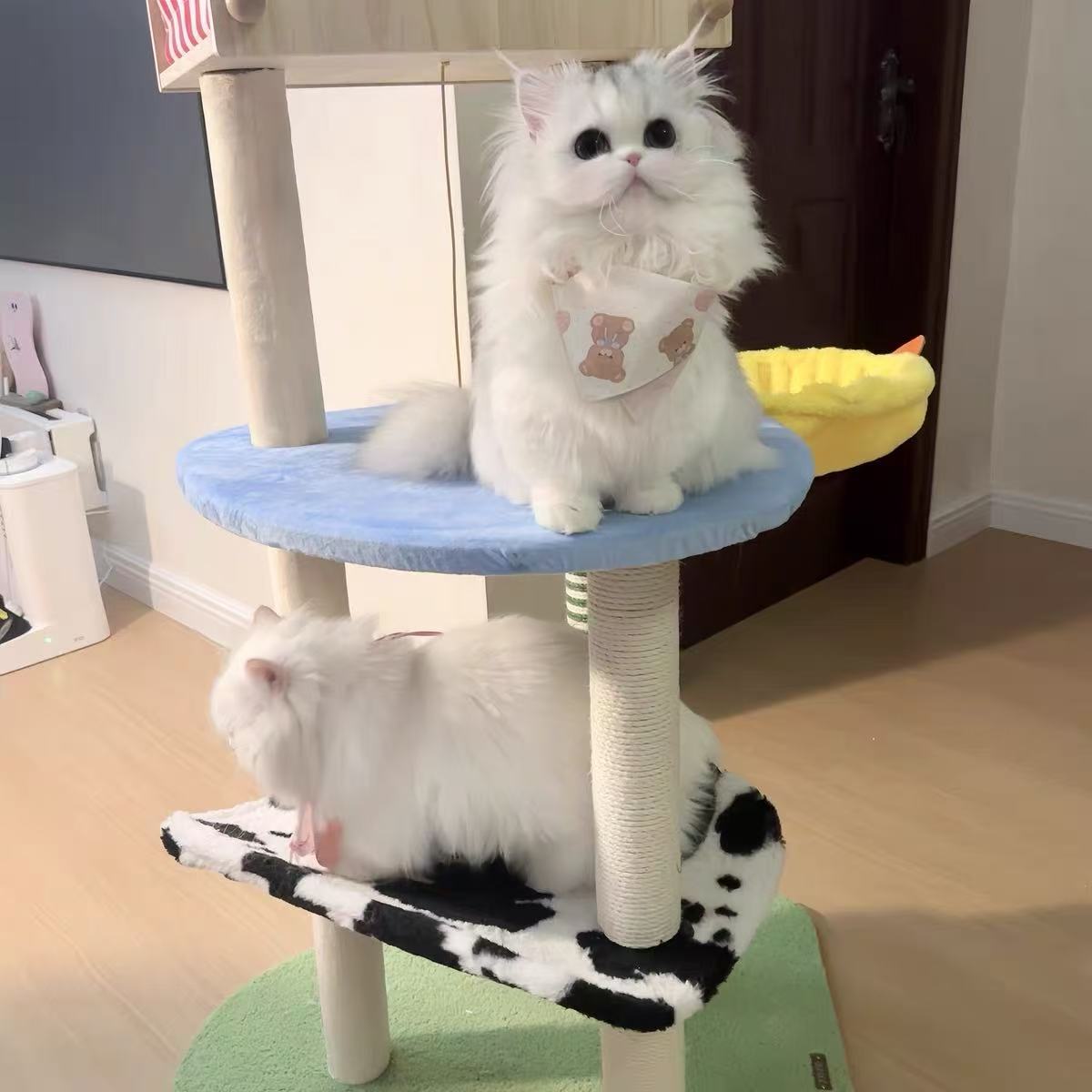 Cat houes Pet dog kennel Genki Cat kennel winter warm four seasons universal cold cat house winter closed cat kennel pet cage