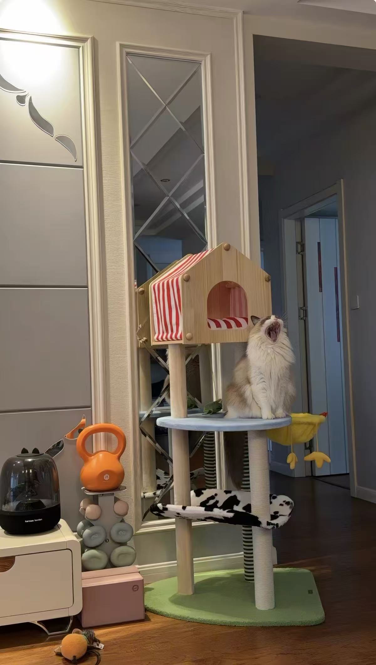 Cat houes Pet dog kennel Genki Cat kennel winter warm four seasons universal cold cat house winter closed cat kennel pet cage