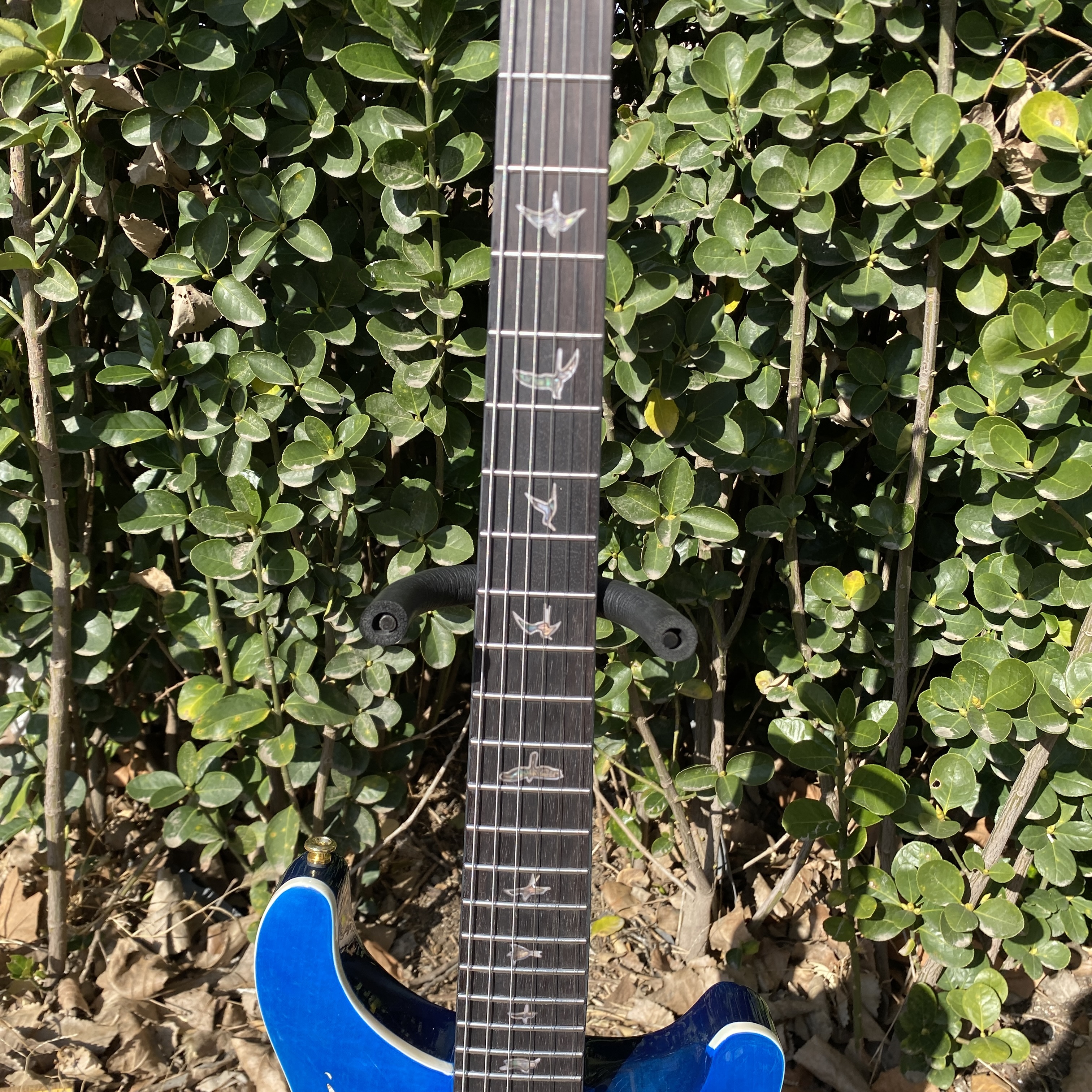 Blue dragon 24 frets electric guitar, solid body, rosewood fingerboard, 6 strings, HH pickup, gold hardware,