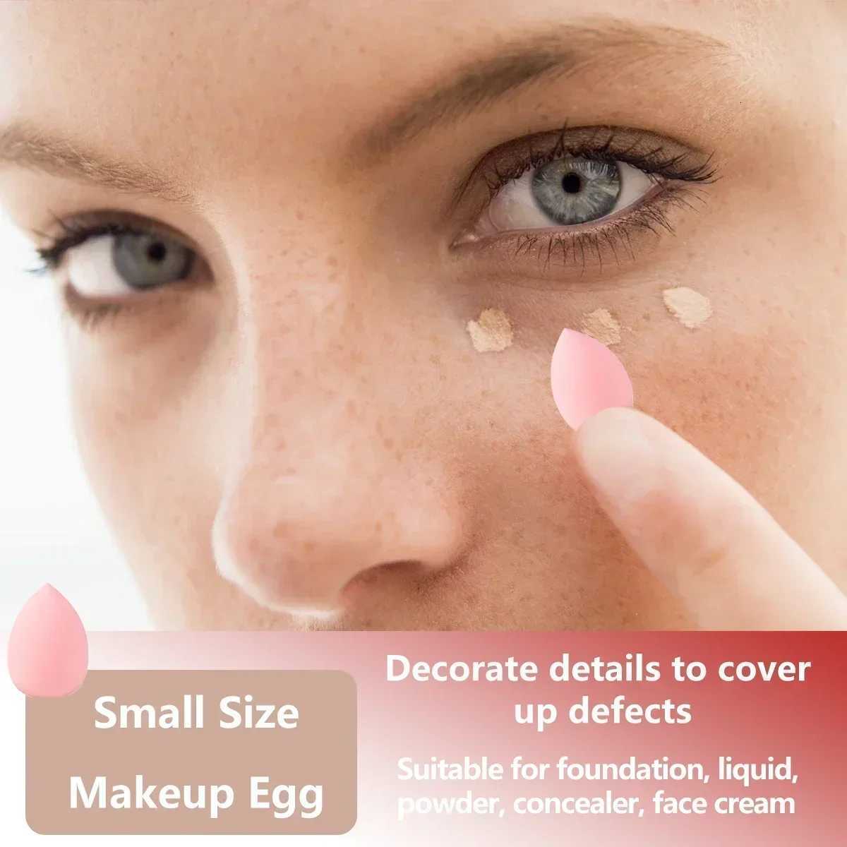 13/33pcs Professional Makeup Brush Set with Accessories for Combination Skin- Featuring Soft BrushesSuitable for Beginners Z260408