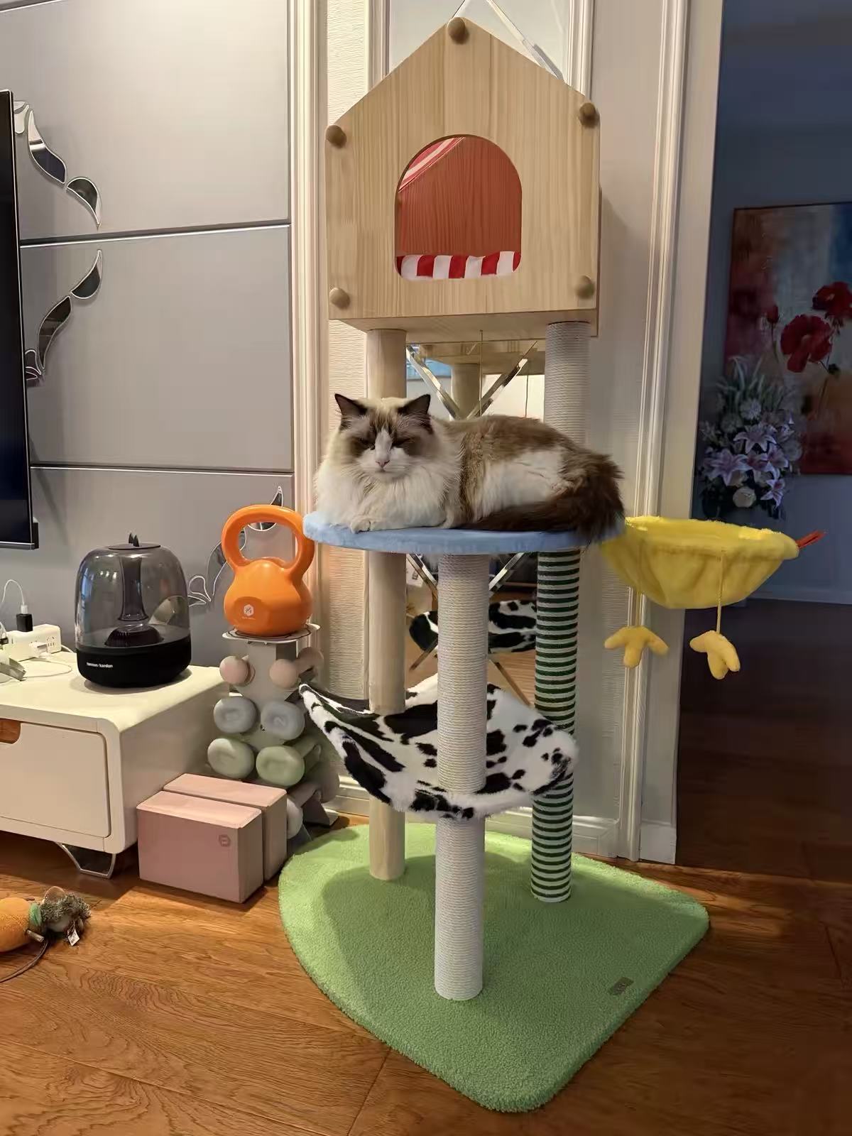 Cat houes Pet dog kennel Genki Cat kennel winter warm four seasons universal cold cat house winter closed cat kennel pet cage