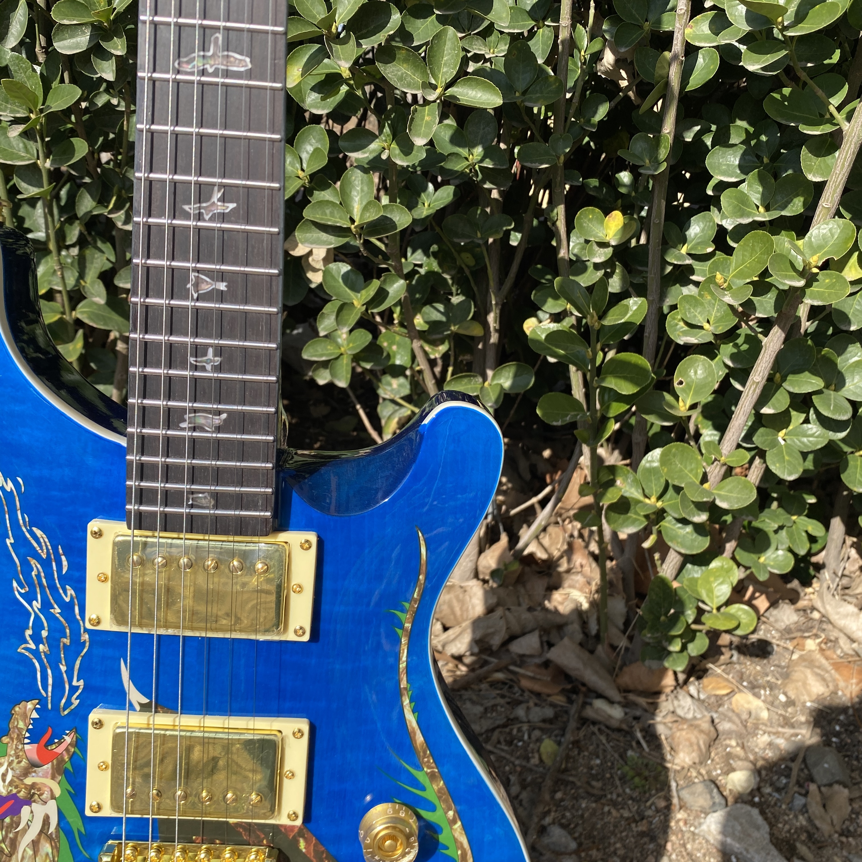 Blue dragon 24 frets electric guitar, solid body, rosewood fingerboard, 6 strings, HH pickup, gold hardware,