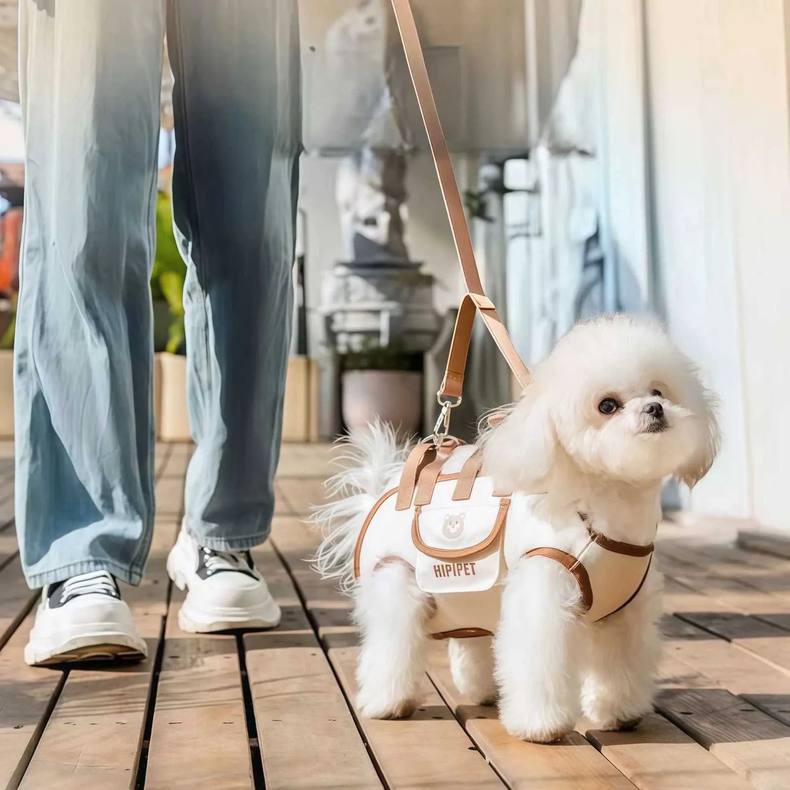 Designer small dog backpack for use with a lift truck. Backpack with handle and leash. Pet carrying case. Outdoor dog/cat carrying supplies.