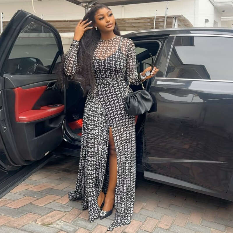 2026 New European American Style Elegant Commuter Dress For Women High Neck Floral Print Split Sheer Mesh Slim Fit Bodycon Dress Party Clubwear MAKOUF