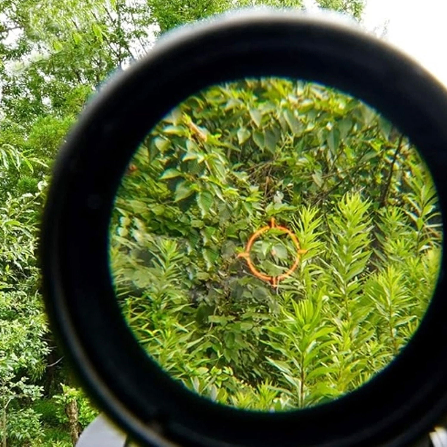 G45 558 Holographic Red Dot Sight combination 558 G33X Sight Magnifier Collimator Sights Reflex with 20mm Holographic Scope Red Illuminated