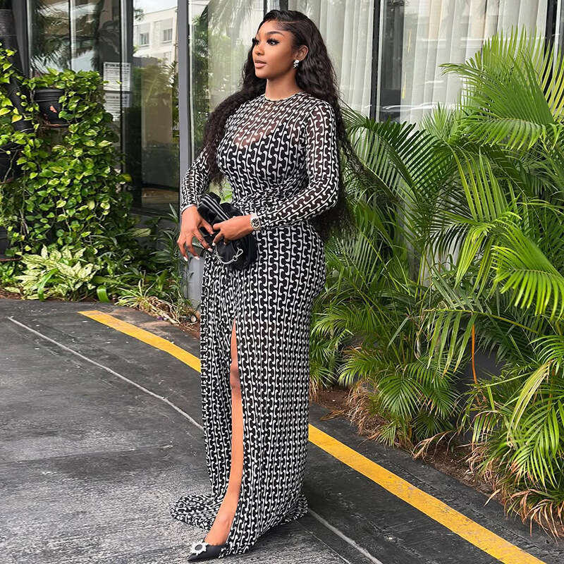 2026 New European American Style Elegant Commuter Dress For Women High Neck Floral Print Split Sheer Mesh Slim Fit Bodycon Dress Party Clubwear MAKOUF