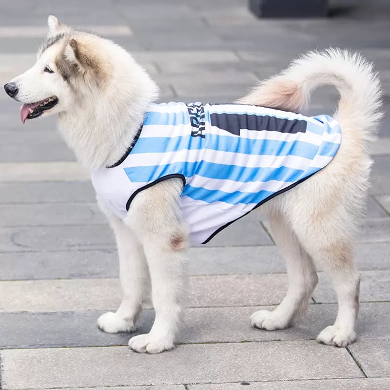 Premium Breathable Mesh Dog Sports Jersey National Team Themed Pet Soccer Shirt 10 Sizes for All Breed Dogs Stylish Pet Apparel for Daily Wear A84