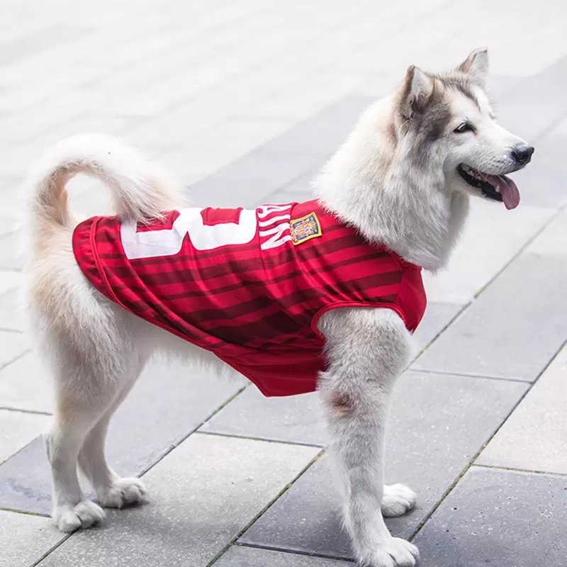 Premium Breathable Mesh Dog Sports Jersey National Team Themed Pet Soccer Shirt 10 Sizes for All Breed Dogs Stylish Pet Apparel for Daily Wear A84