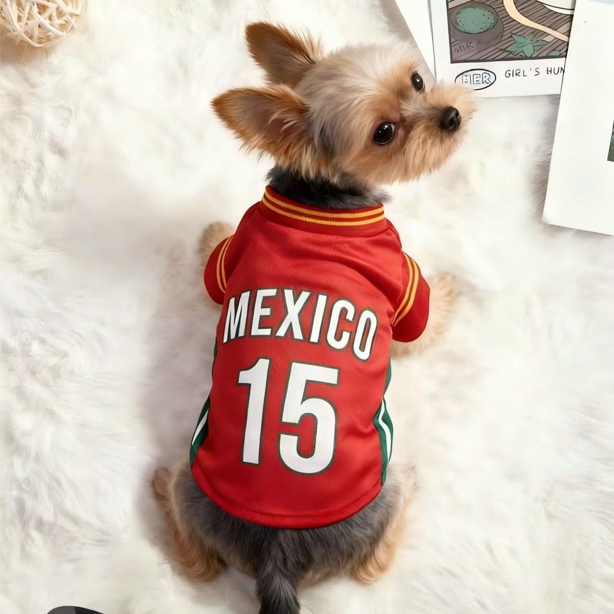World Cup National Team Small Dog Jersey Breathable Mesh Pet Sports Shirt 6 Sizes XS to 2XL Argentina Mexico Portugal Luxury Pet Apparel for Teacup Yo