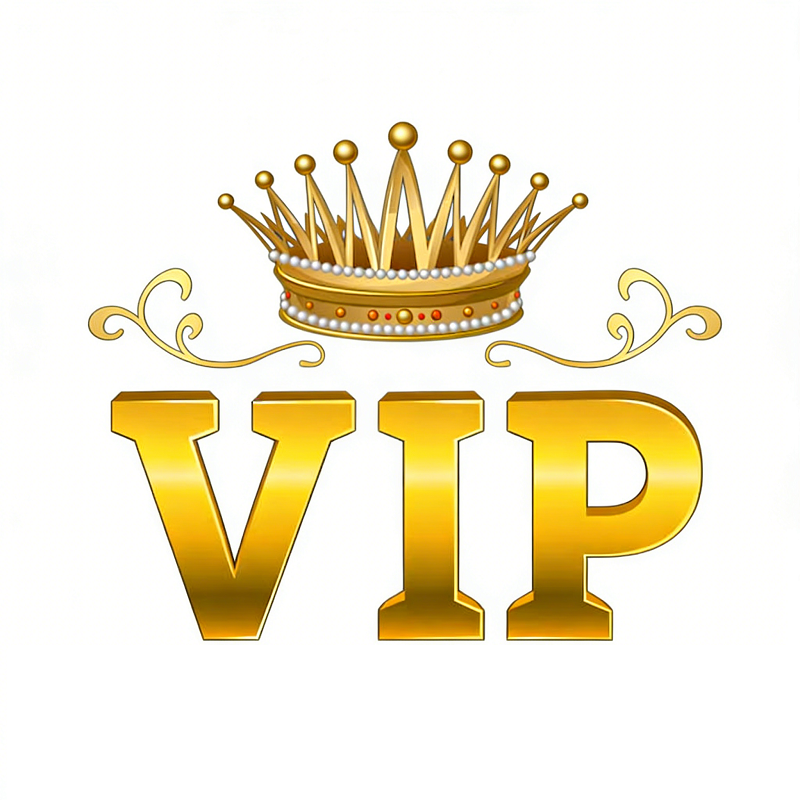 SHY XX-0333 VIP Exclusive Payment Portal - Balance Top-Up and Express Shipping Service Free shipping