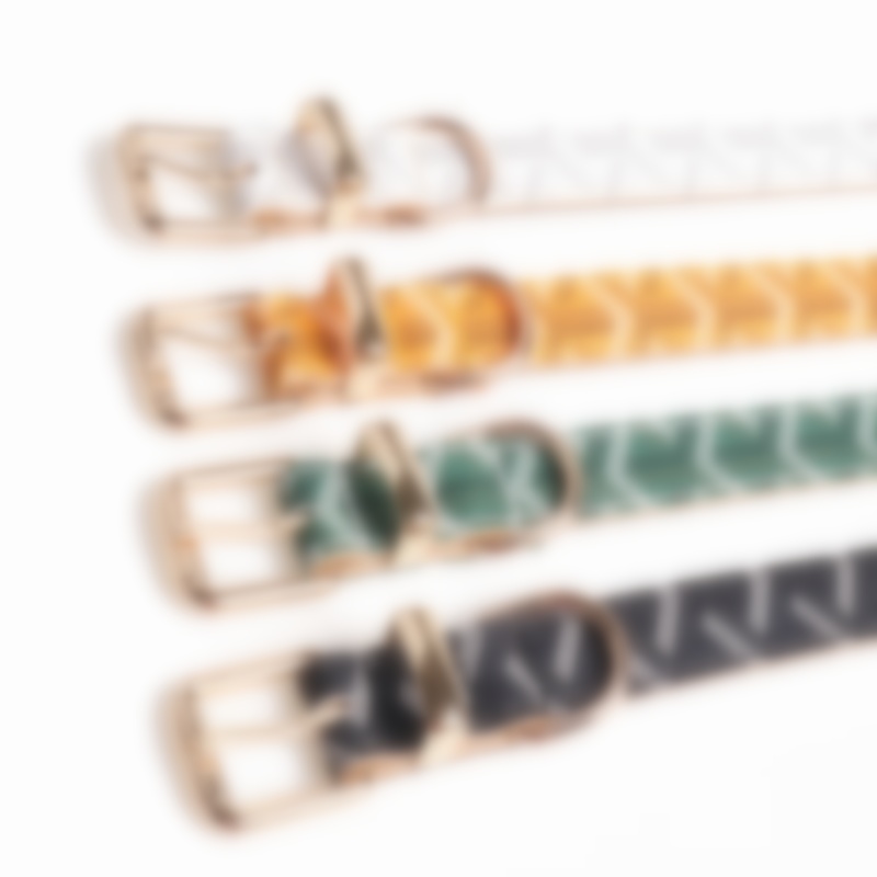 Classic Printed Designer Pet Collar & Leash, Soft & Durable Cat Collar, Suitable for Small, Medium and Large Dogs, Faux Leather Double-Layer Dog Colla