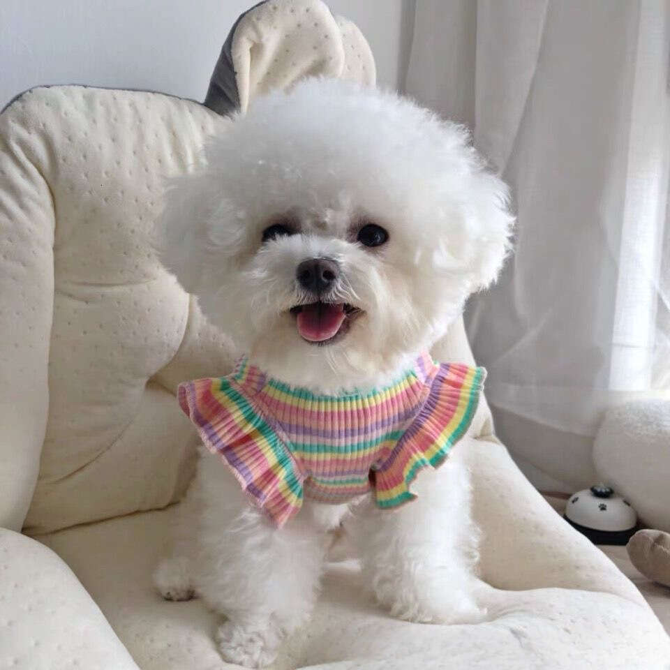 Famous brand New Rainbow Striped Pet Dog Cat Summer Ins Thin Clothes Puff Sleeve Vest Princess Style Dress pupakaIK