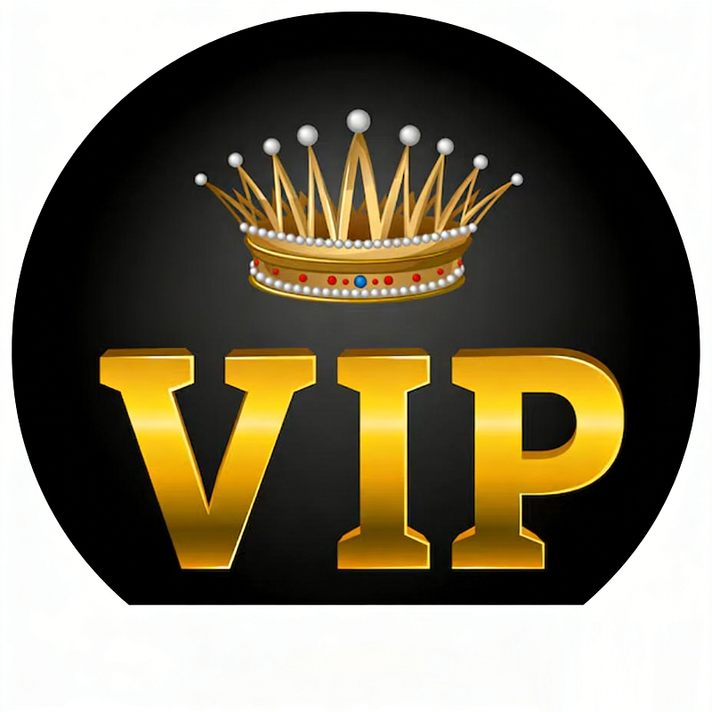 Hejing XX-0333 VIP Payment Portal Balance Top-Up - Fast Express Shipping