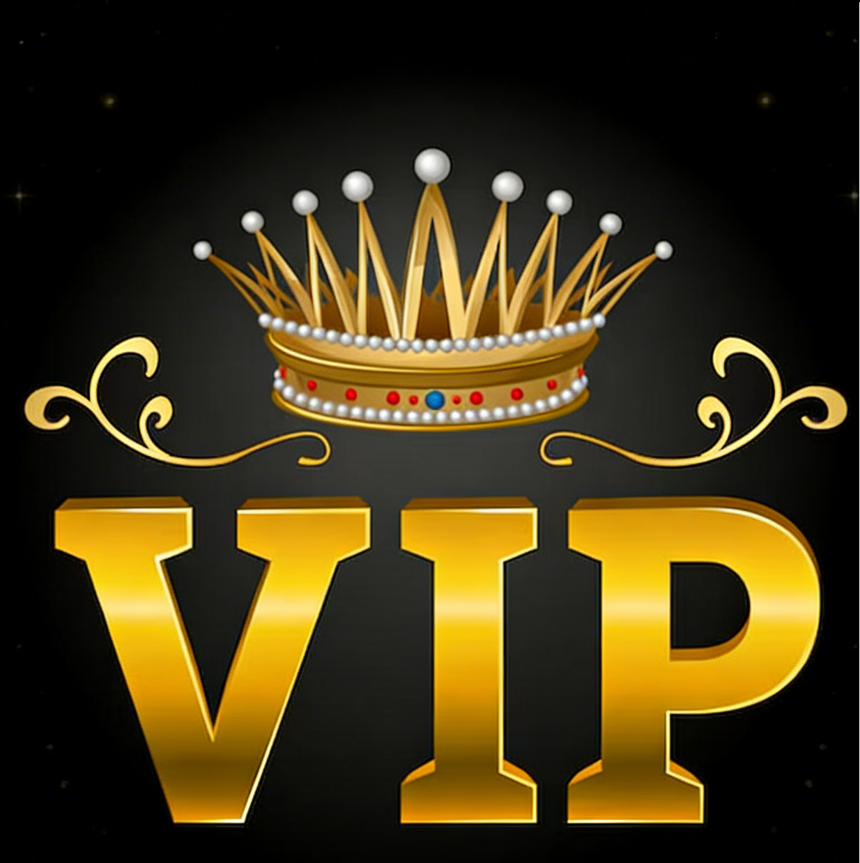 SHY XX-055 VIP Exclusive Payment Portal - Balance Top-Up and Express Shipping Service Free shipping