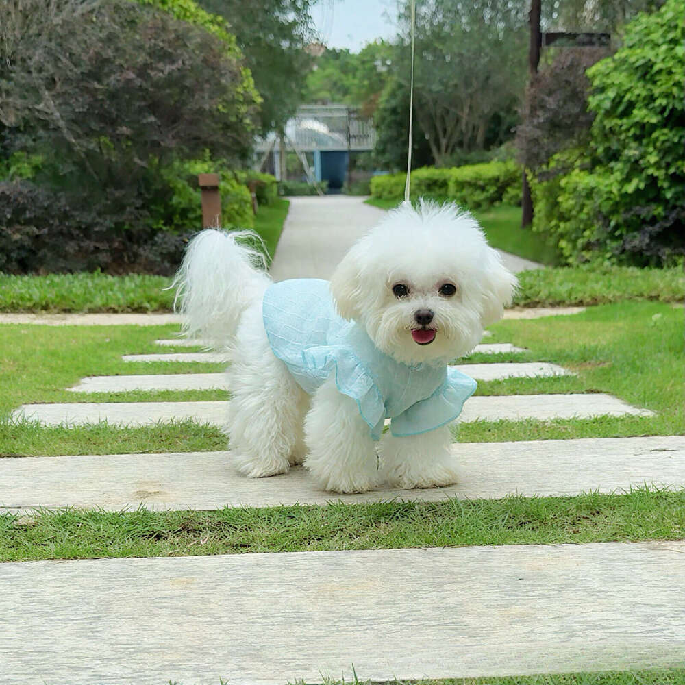 Summer Thin Mesh Hollow Pet Clothes Breathable Flying Sleeve Vest Cute Dog Cat Apparel For Small Dogs Teddy Bichon Puppy Kitten pupakaIK