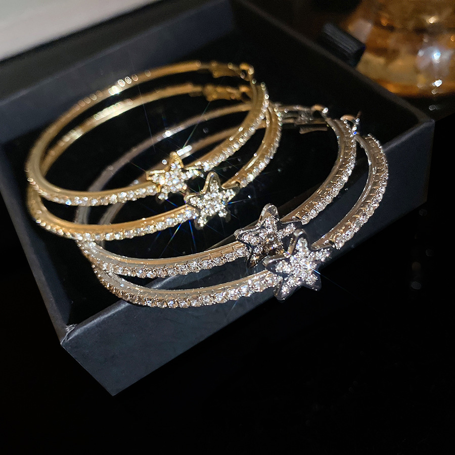 Silver needle with diamond-studded star round pendant, simple, fashionable, exquisite earrings, light luxury, high-end earrings for women - view 8