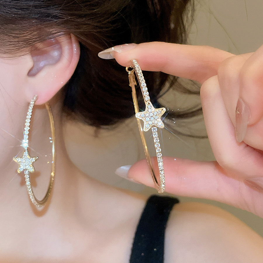 Silver needle with diamond-studded star round pendant, simple, fashionable, exquisite earrings, light luxury, high-end earrings for women - view 4