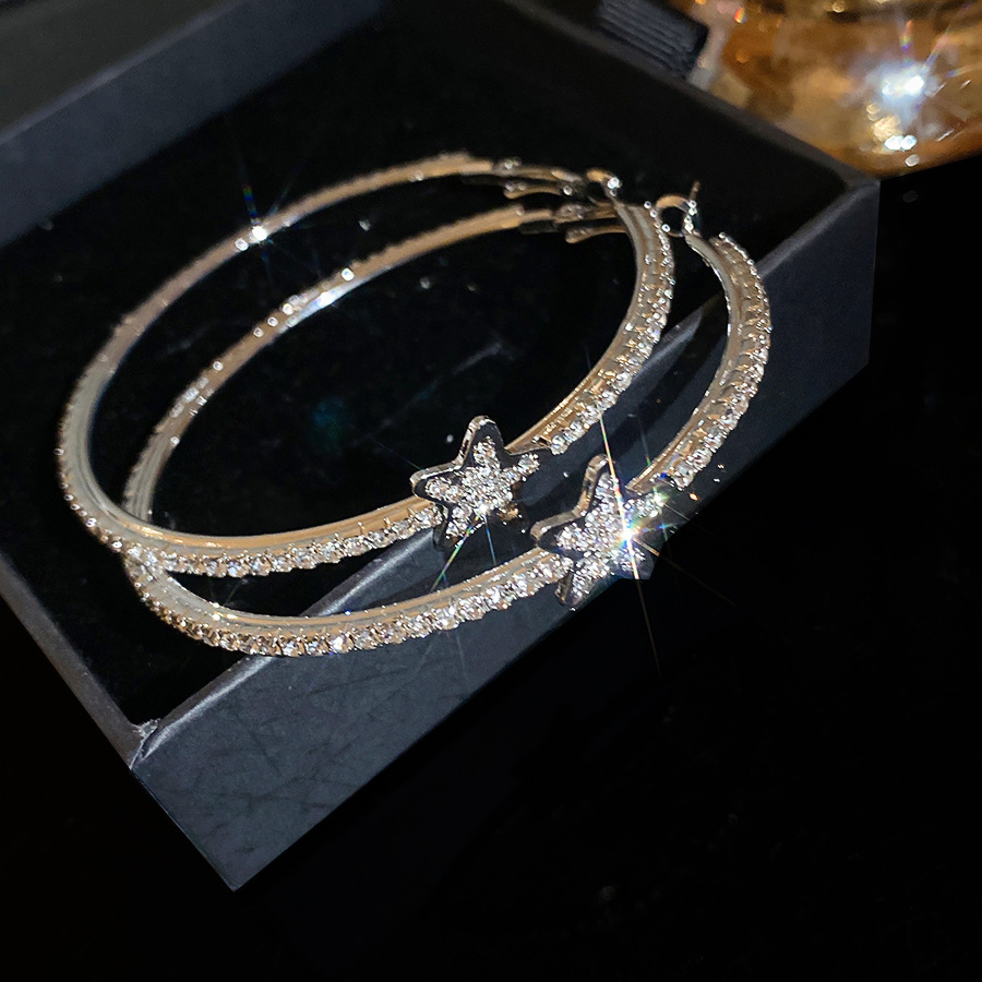 Silver needle with diamond-studded star round pendant, simple, fashionable, exquisite earrings, light luxury, high-end earrings for women - view 6