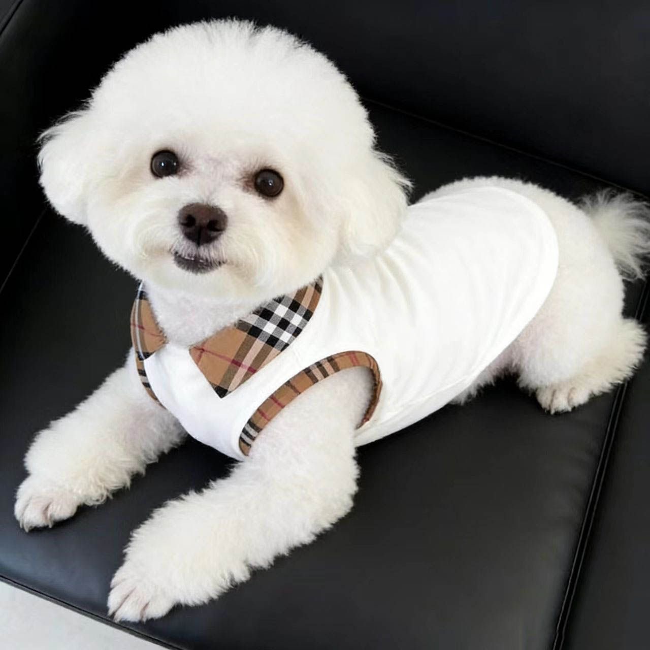 Luxury Dog Clothes Elegant Plaid Collar Pet Dog Shirt Comfortable Sleeveless Top 5 Sizes S to XXL for Small Breeds Fashion Casual Puppy Apparel Y455